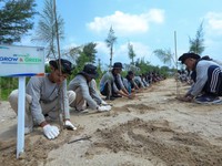 BRI Pertegas Komitmen Jaga Ekosistem Lingkungan Lewat Program Ini