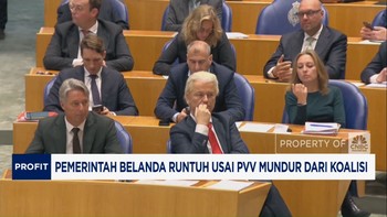 Video: Pemerintah Belanda Runtuh Usai PVV Mundur Dari Koalisi