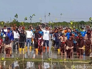 Gubernur Luthfi Ajak Mageri Segoro Tangkal Abrasi di Pesisir Jateng