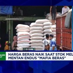 Video: Harga Beras Naik Saat Stok Melimpah, Distribusi Jadi Sorotan