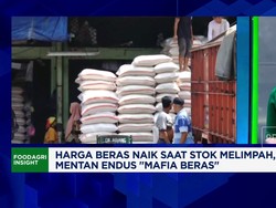 Video: Harga Beras Naik Saat Stok Melimpah, Distribusi Jadi Sorotan