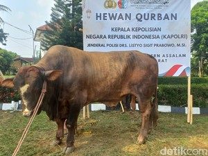 Dari Prabowo hingga Kapolri Titipkan Hewan Kurban di Ponpes Assalam
