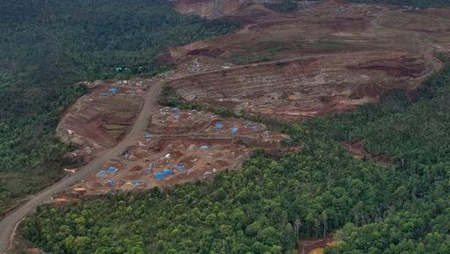 Foto udara yang diambil pada tanggal 21 Desember 2024 dan dirilis pada tanggal 31 Januari 2025 oleh Auriga Nusantara ini menunjukkan gambaran umum penggundulan hutan di suatu wilayah di Pulau Kawei di Raja Ampat, Provinsi Papua Barat Daya. AFP/HANDOUT