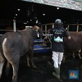 Menjelang Hari Raya Iduladha 1446 hijriah/2025, penjual hewan kurban meningkat di Kota Depok, Jawa Barat. (CNBC Indonesia/Tri Susilo)