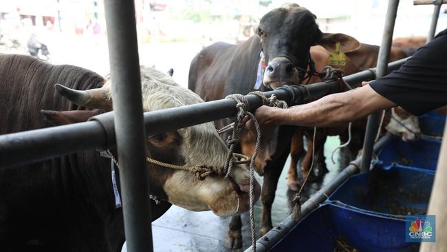 Deretan Tradisi Idul Adha di Berbagai Negara, Ada Cuti Panjang