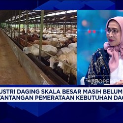 Video: Swasembada Pangan, RI Perlu Industrialisasi Peternakan Sapi