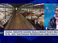 Video: Digitalisasi Dorong Peternakan Lebih Modern dan Efisien