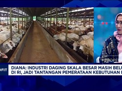 Video: Swasembada Pangan, RI Perlu Industrialisasi Peternakan Sapi