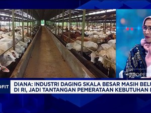 Video: Digitalisasi Dorong Peternakan Lebih Modern dan Efisien