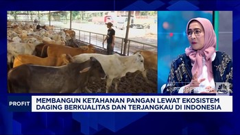 Video: Pasokan Terbatas, Permintaan Sapi Hidup Kian Meningkat