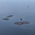 Pulau Ini Menunggu Detik-Detik Tenggelam, Segera Hilang Ditelan Bumi