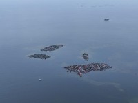 Pulau Ini Menunggu Detik-Detik Tenggelam, Segera Hilang Ditelan Bumi
