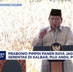 Video: Prabowo Pimpin Panen Raya Jagung Serentak di Kalbar