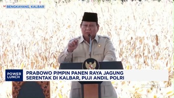 Video: Prabowo Pimpin Panen Raya Jagung Serentak di Kalbar