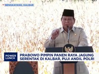 Video: Prabowo Pimpin Panen Raya Jagung Serentak di Kalbar