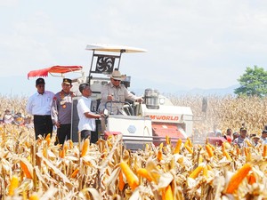 Komitmen Kapolri Dukung Visi Swasembada Pangan Prabowo Lewat 18 Gudang Jagung