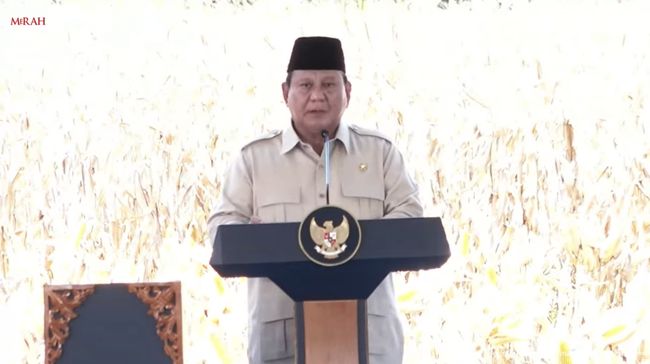 Pesan Khusus dari Prabowo Soal RI Surplus Beras