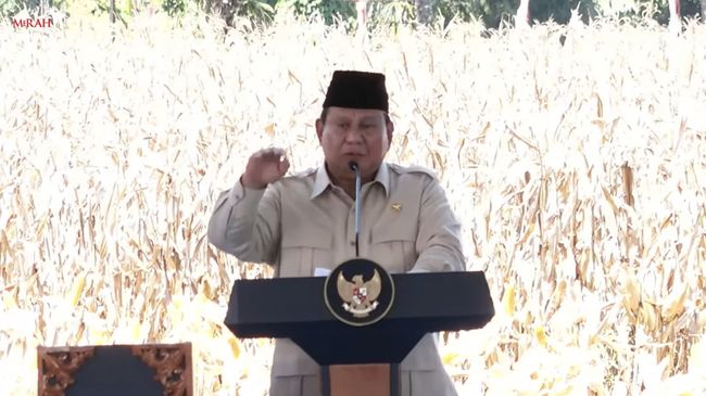 Komitmen Swasembada, Prabowo Hadiri Panen dan Ekspor Jagung di Kalbar
