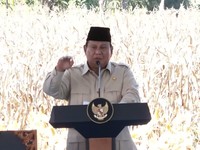 RI Ekspor Perdana Jagung ke Malaysia 1.200 Ton, Prabowo Happy