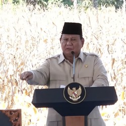 Prabowo Mau Semua Provinsi di Indonesia Swasembada Pangan