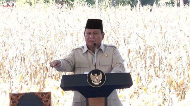 Prabowo Kurban 985 Sapi Seluruh Kabupaten/Kota di RI Dapat Jatah