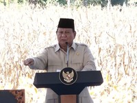 Prabowo Mau Semua Provinsi di Indonesia Swasembada Pangan