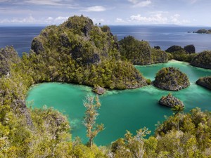 Penyu, Penjelajah Lautan Bagian dari Kehidupan Sehari-hari di Raja Ampat