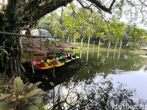 Rp 100 Ribu Dapat Apa di Taman Wisata Alam Linggarjati Kuningan?