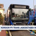 Video: Trans Jakarta Rute Bogor - Blok M Resmi Beroperasi
