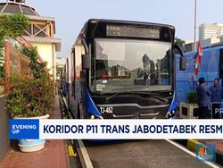Video: Trans Jakarta Rute Bogor - Blok M Resmi Beroperasi