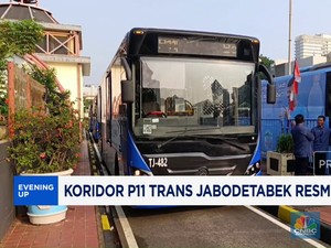 Video: Trans Jakarta Rute Bogor - Blok M Resmi Beroperasi