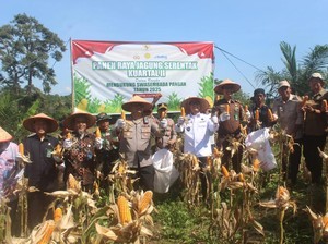 Bupati OKU dan Kapolres Panen Jagung, Kolaborasi Wujudkan Ketahanan Pangan