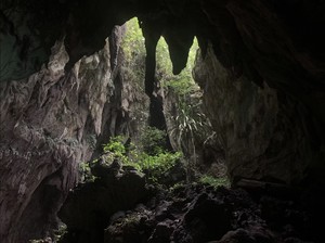 Raja Ampat dan Temuan Arkeolog, Saksi Kunci Penyebaran Manusia di Pasifik
