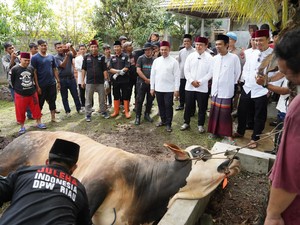 Kapolda Riau Serahkan Sumbangan Sapi Kurban 980 Kg dari Kapolri ke UAS