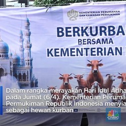 Kementerian PKP Kurban 10 Ekor Sapi untuk Dibagikan ke Warga Rusun