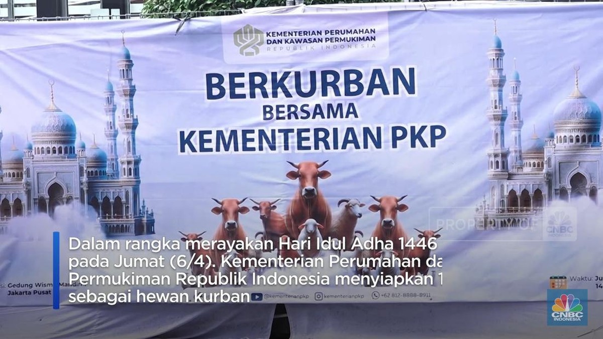 Kementerian PKP Kurban 10 Ekor Sapi untuk Dibagikan ke Warga Rusun
