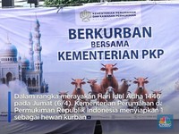 Kementerian PKP Kurban 10 Ekor Sapi untuk Dibagikan ke Warga Rusun