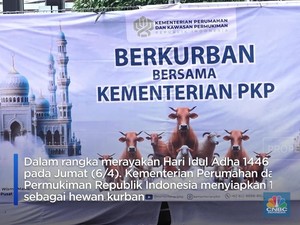 Kementerian PKP Kurban 10 Ekor Sapi untuk Dibagikan ke Warga Rusun