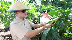 Punya Potensi Kopi, Kawasan Lembantongoa Siap Jadi Pusat Ekonomi Baru