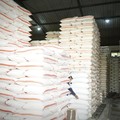 LPEM Ungkap Fakta Penyebab Harga Beras Naik Saat CBP Melimpah