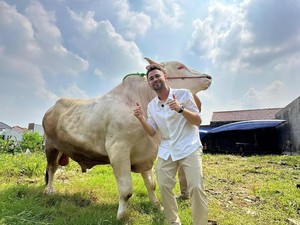 Raffi Ahmad Kurban 22 Sapi dan 90 Domba