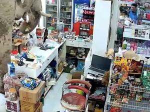 Gajah Liar Masuk Toko di Thailand, Pilih-pilih Camilan dan Menyantapnya