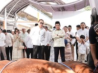 Berbagi di Idul Adha, Bapekis & Karyawan BRI Salurkan 961 Hewan Kurban