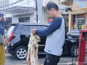 Berkah Idul Adha untuk Pengepul Kulit Hewan di Surabaya