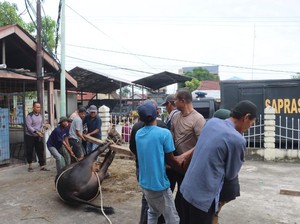 Rayakan Idul Adha Bersama Warga, Polres Dumai Salurkan Ratusan Daging Kurban