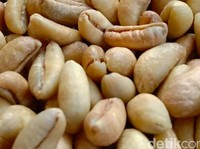 Liberika, Si 'Biji Langka' yang Lebih Unggul Dibanding Arabika-Robusta