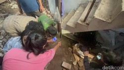 7 Fakta Mengejutkan Buaya 2 Meter Dipelihara Pria Surabaya 6 Tahun