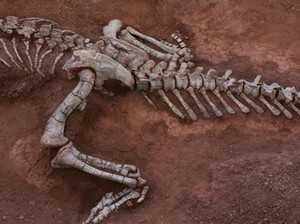 Keluarga Dinosaurus Setinggi Bangunan 10 Lantai Pernah Hidup di China