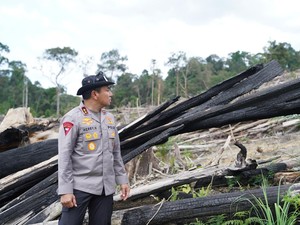 Kapolda Riau Soal Perambahan Hutan Lindung Siabu: Ini Adalah Ekosida