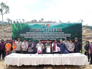 2.360 Hektare Lahan di Riau Rusak Akibat Perusakan Hutan